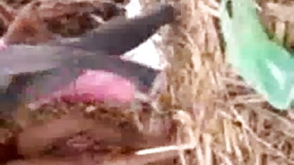 शीर्ष बीडीएसएम अश्लील महिला कलाकार भाग 2 ब्लू पिक्चर सेक्सी मूवी