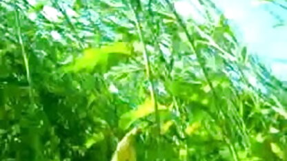 गीला गुदा गधा 11 सेक्सी मूवी राक्षस लंड द्वारा नष्ट कर दिया